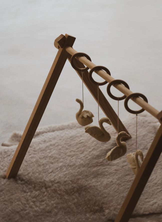 Juego de juguetes arco de cisnes