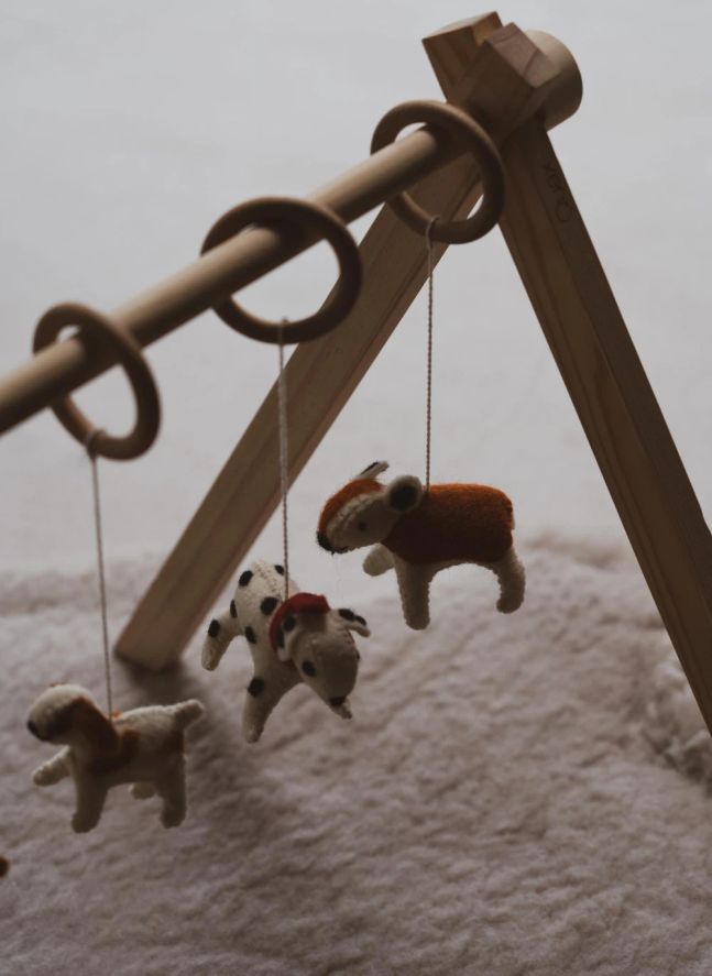 Juego de juguetes para arco de perro