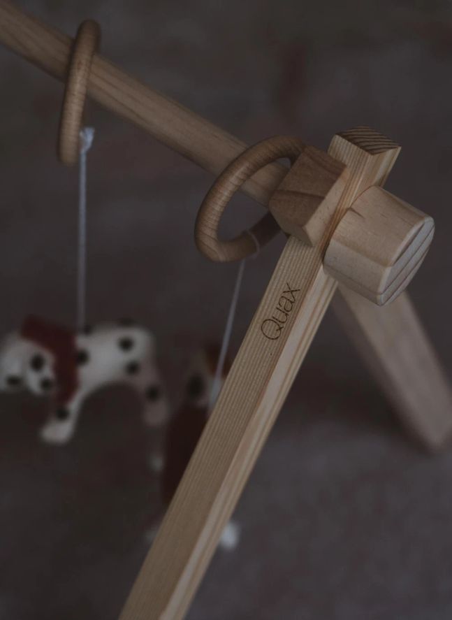 Juego de juguetes para arco de perro