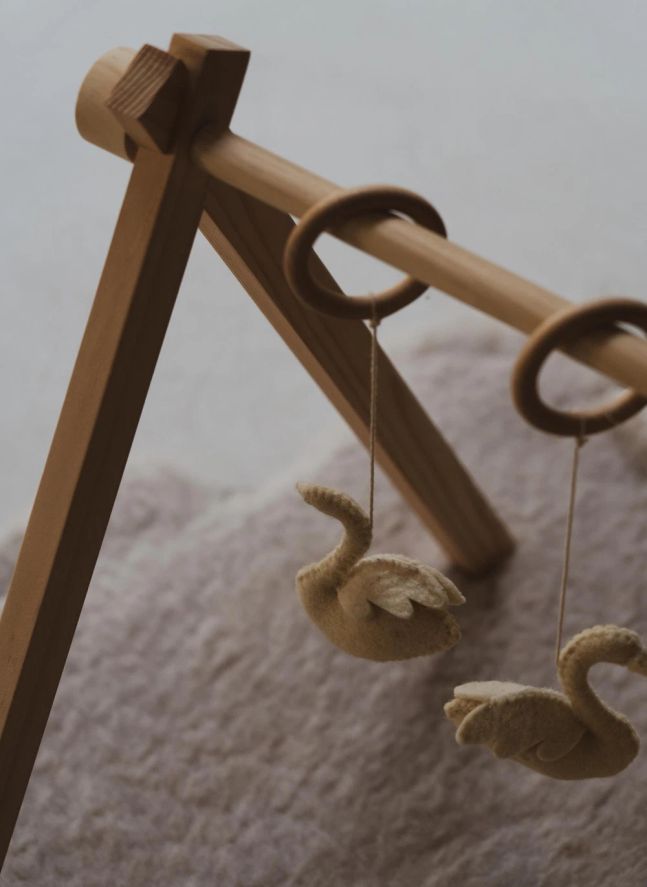Juego de juguetes arco de cisnes