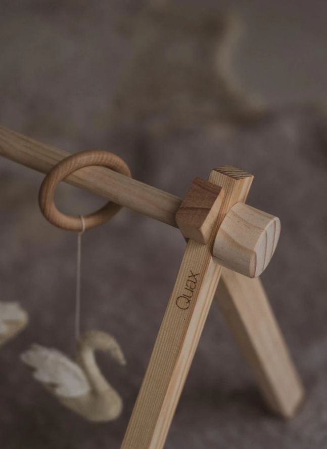 Juego de juguetes arco de cisnes