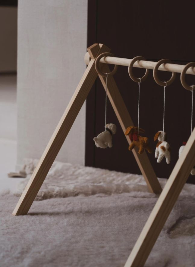 Juego de juguetes para arco de perro