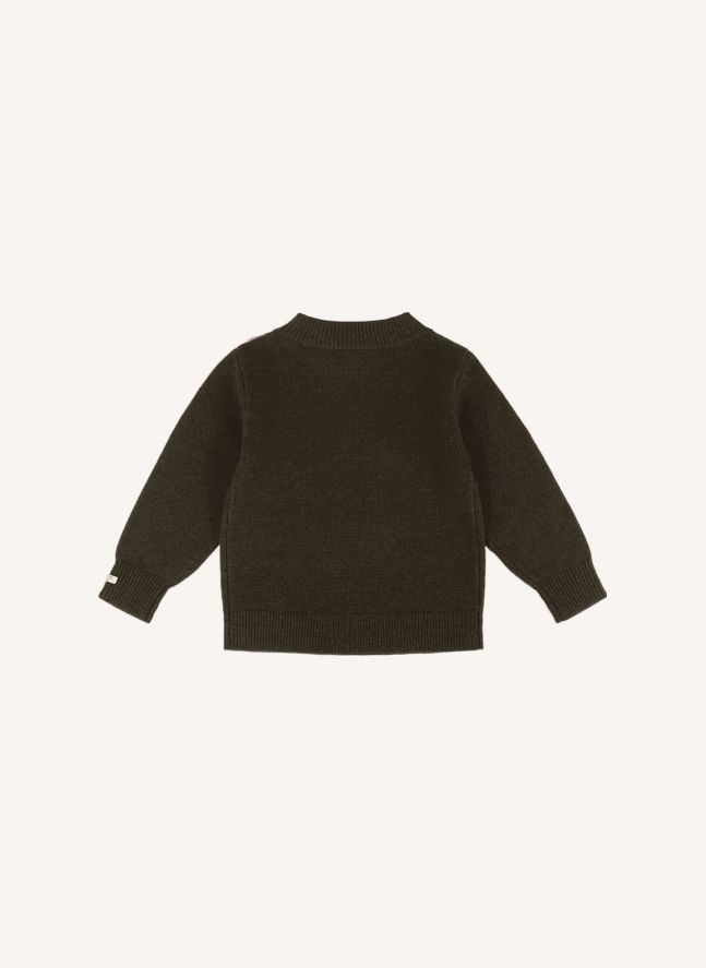 Denn Dog Merino Wool Sweater | Dark green