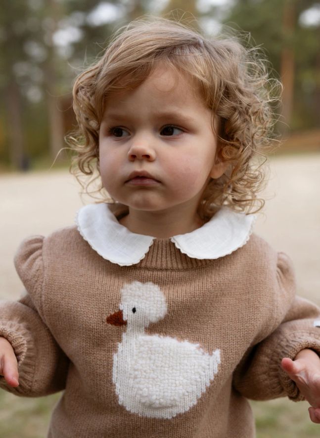 Pull Denna Canard Laine Merinos | Noisette