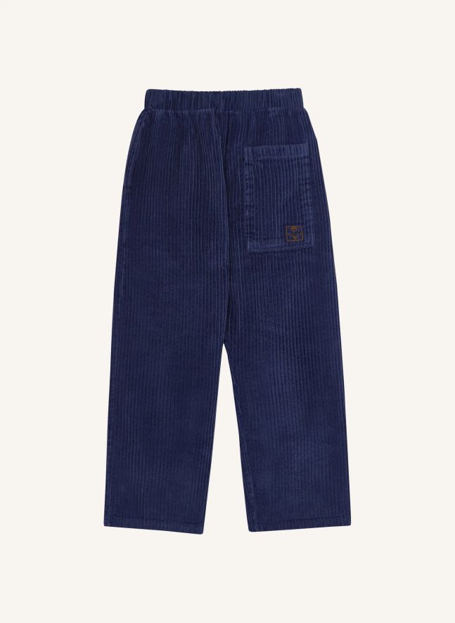 Pantalon Velours Côtelé | Bleu