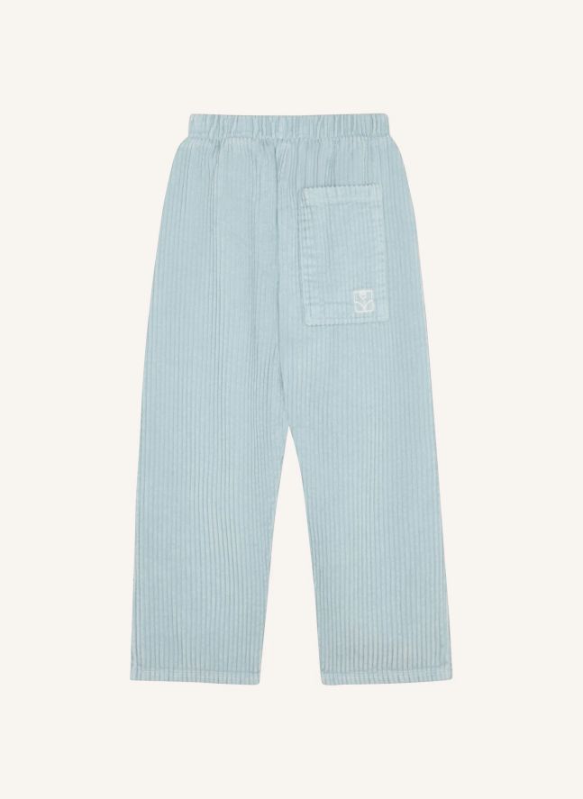 Pantalon Velours Côtelé | Bleu ciel
