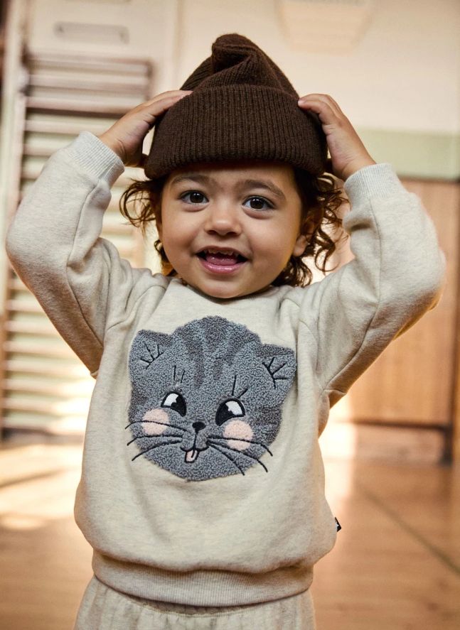 Pull Disc Chat Coton Bio | Gris chiné