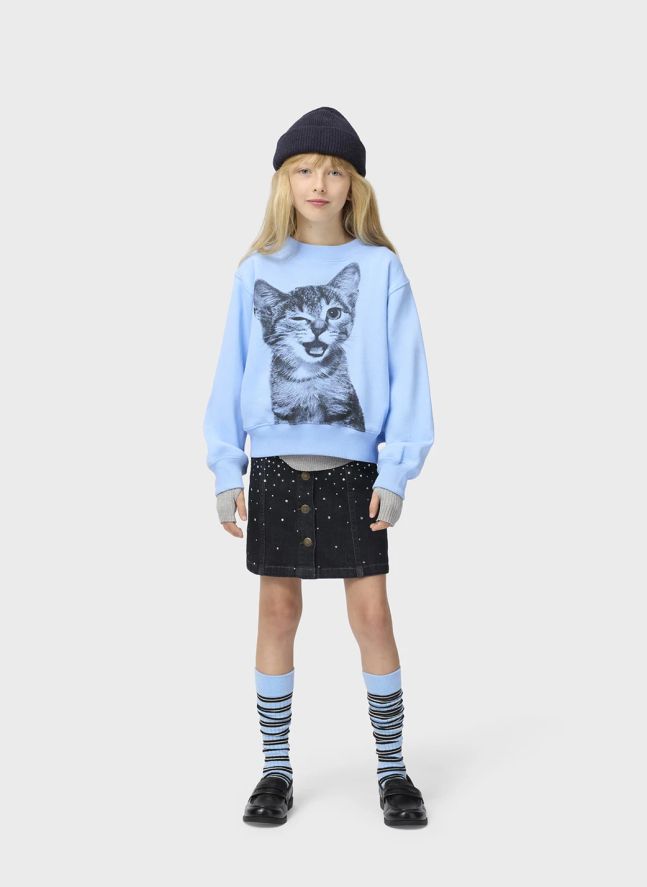 Pull Marge Chat Coton Bio | Bleu ciel
