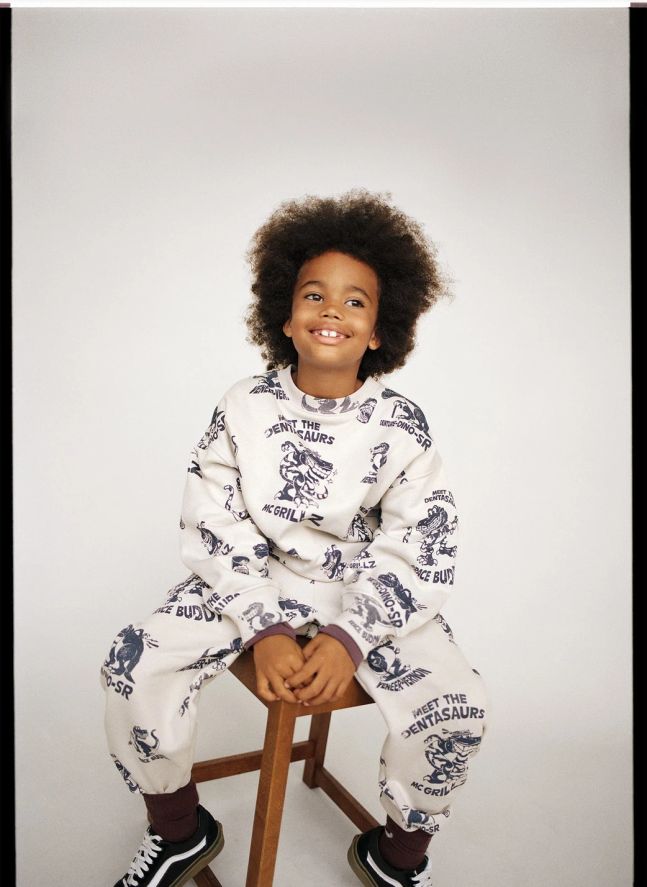 Pull Mar Dinosaures Coton Bio | Blanc