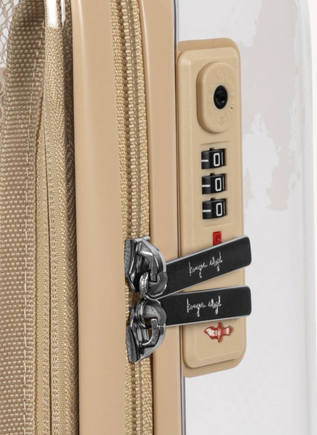 Cherry suitcase