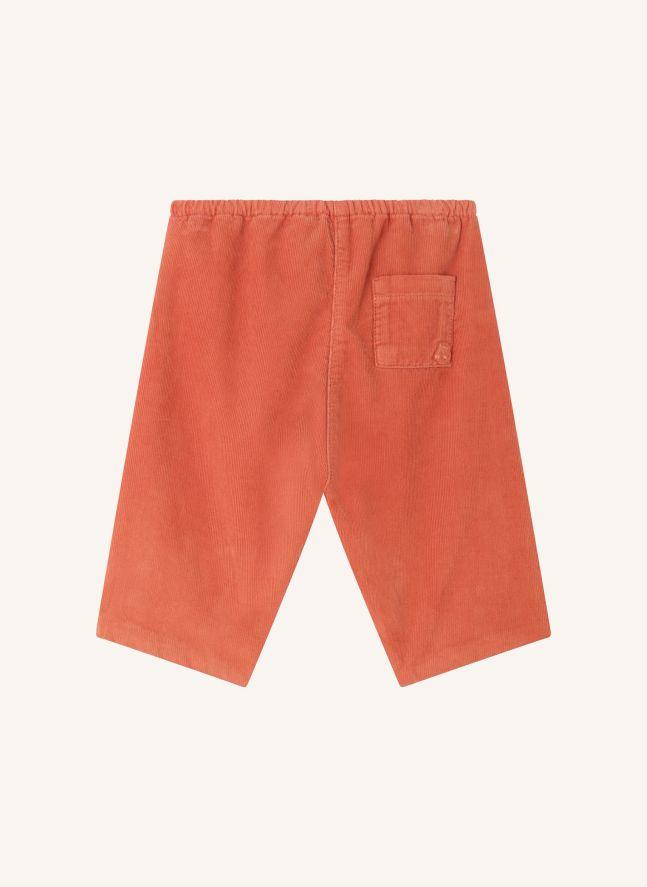 Pantalon Dandy Coton Bio | Abricot