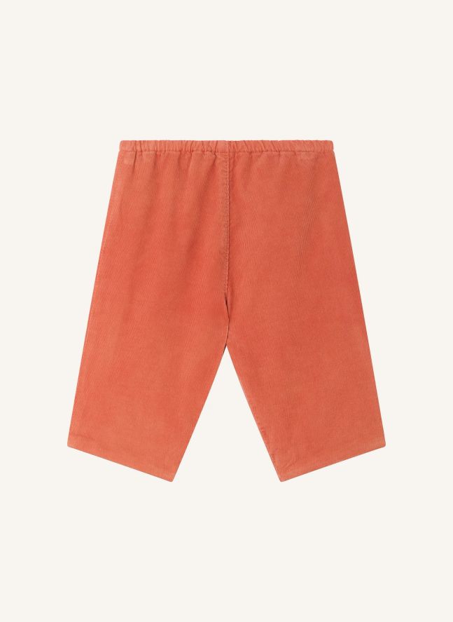 Pantalon Dandy Coton Bio | Abricot