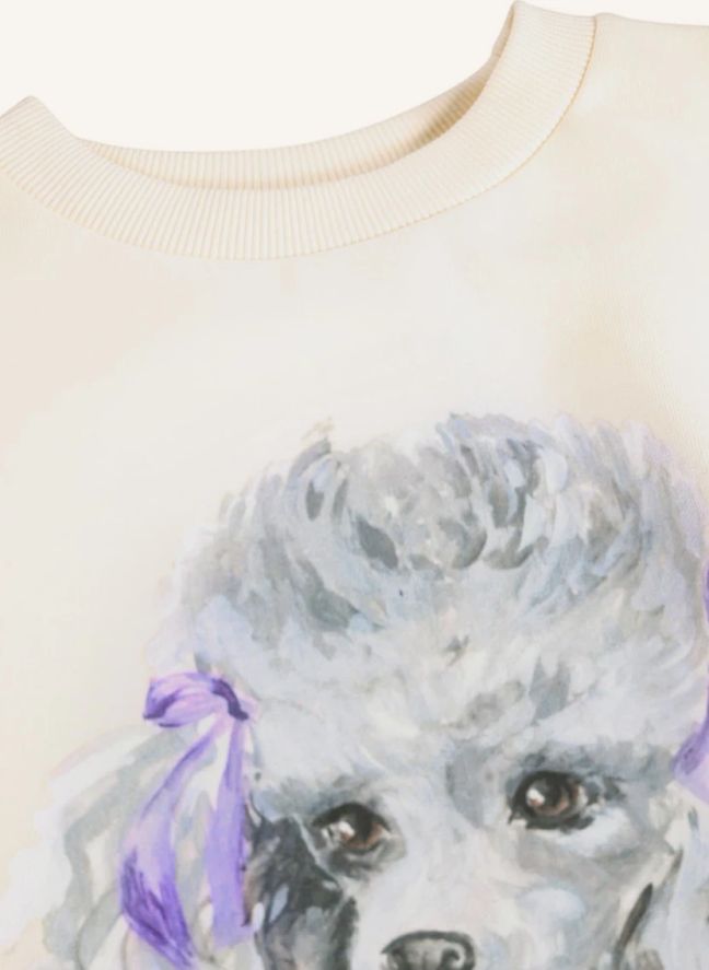 Pull Maxi Caniche Coton Bio | Blanc
