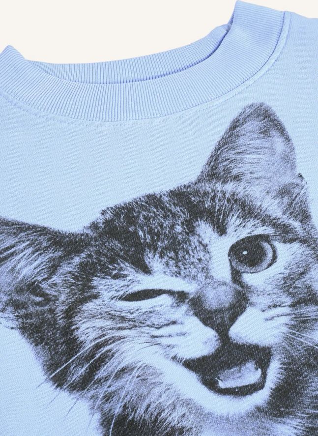 Pull Marge Chat Coton Bio | Bleu ciel