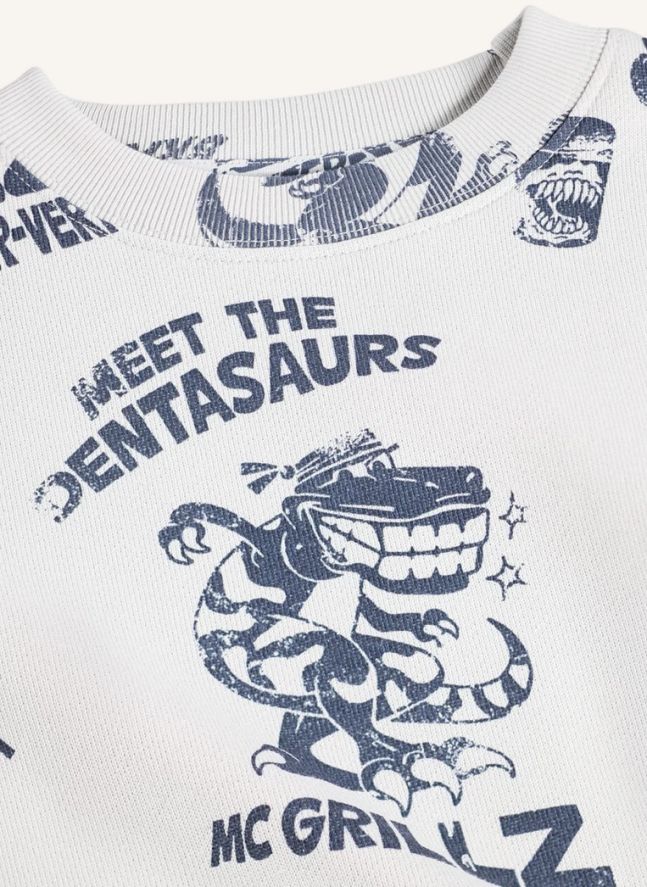 Pull Mar Dinosaures Coton Bio | Blanc