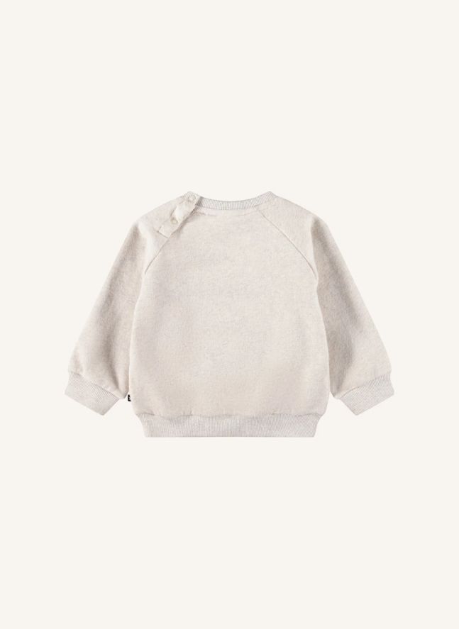 Pull Disc Chat Coton Bio | Gris chiné