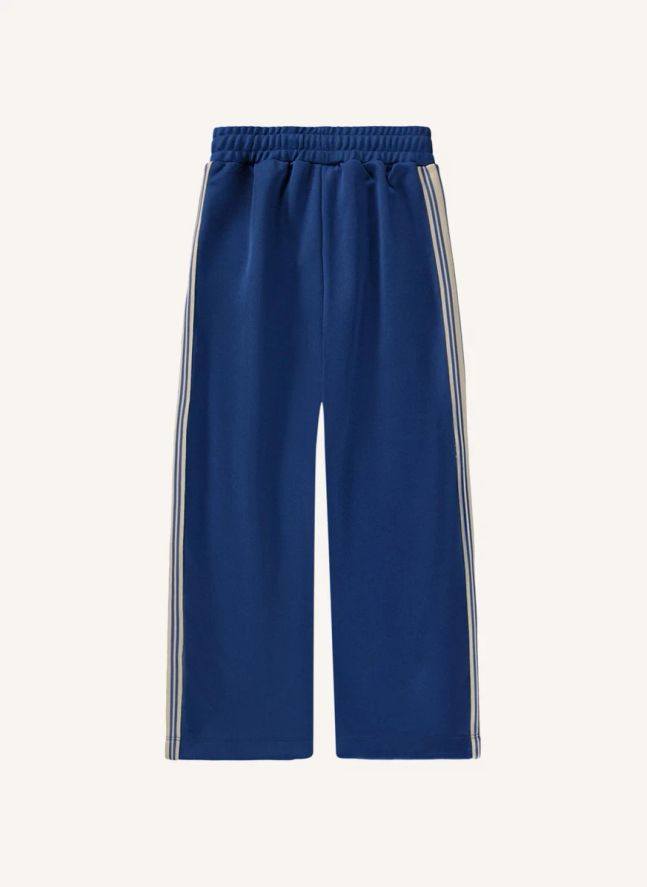 Jogger Ash  | Bleu