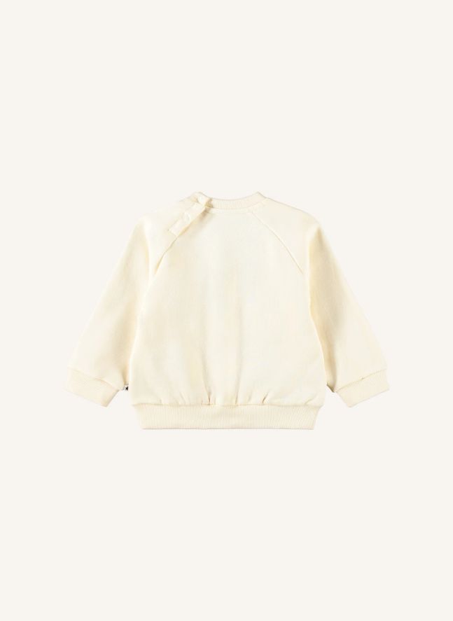 Pull Disc Chien Coton Bio | Ivoire