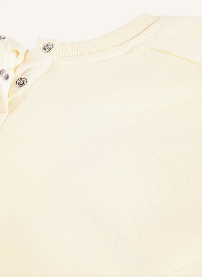 Pull Disc Chien Coton Bio | Ivoire