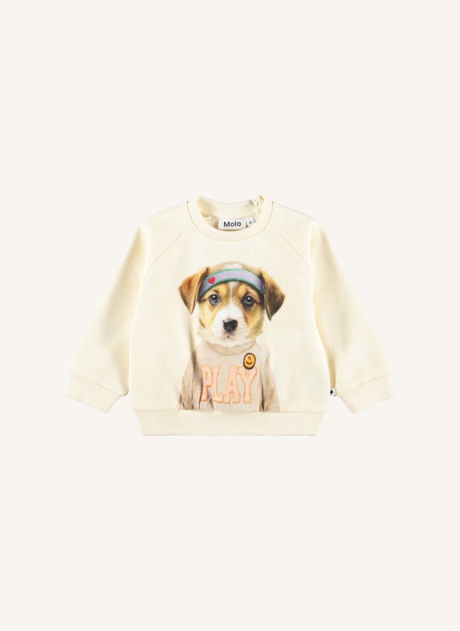 Pull Disc Chien Coton Bio | Ivoire