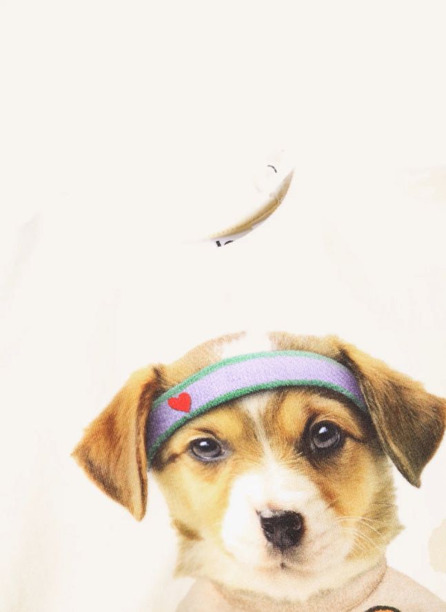Pull Disc Chien Coton Bio | Ivoire