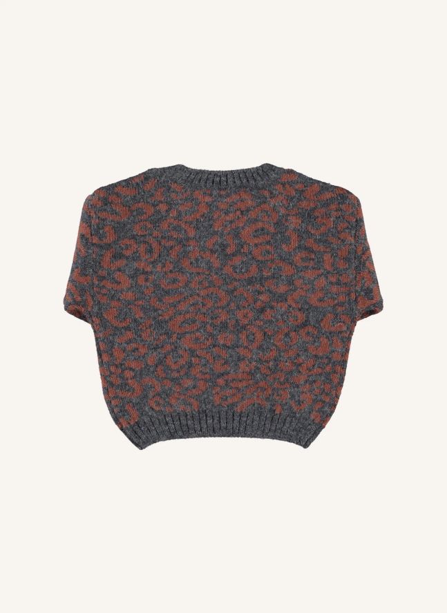 Pull Léopard | Gris anthracite