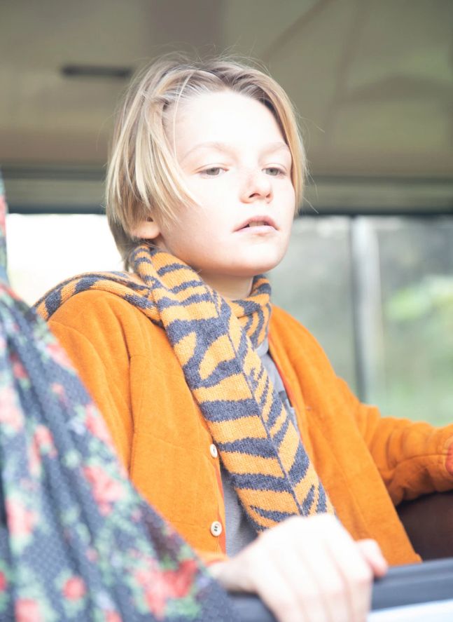 Echarpe Zèbre | Orange