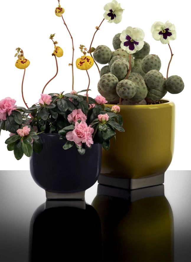 Cache-pot 03, Kris van assche | Violet