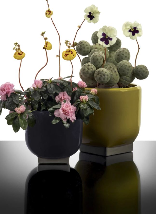Cache-pot 01, Kris van assche | Violet